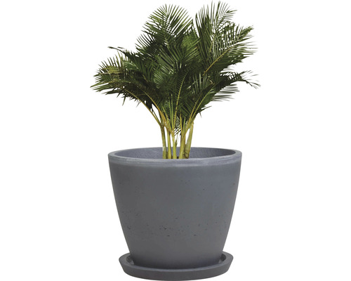 Palma v květináči s podšálkem