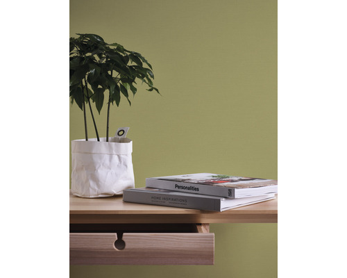 Dekorativní zátiší s pokojovou rostlinou, knihami a stolem se zásuvkou