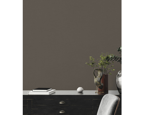 Dekorativní interiér s černou skříní, rostlinami, uměleckými předměty a hromadou knih