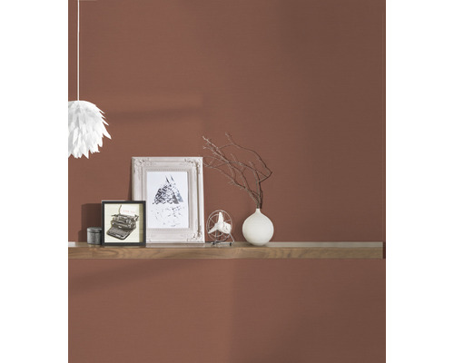 Obývací pokoj s policí, dekorací a barvou na zeď