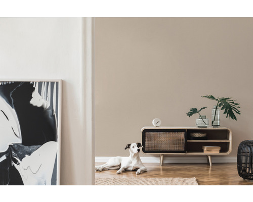 Obývací pokoj s dřevěnou komodou, skleněnými vázami, pokojovou rostlinou a psem na koberci.