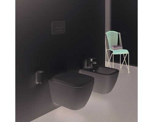 Koupelna se závěsným WC, bidetem a židlí