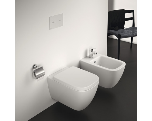 Moderní koupelna se závěsným klozetem a bidetem, splachovacím tlačítkem a držákem toaletního papíru