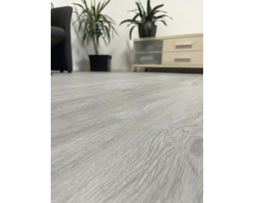 Světlá dřevěná podlaha v pokoji s nábytkem a rostlinami