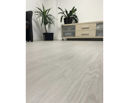 Světlá dřevěná podlaha v světlém, moderně zařízeném obývacím pokoji s pokojovými rostlinami a nízkou skříňkou