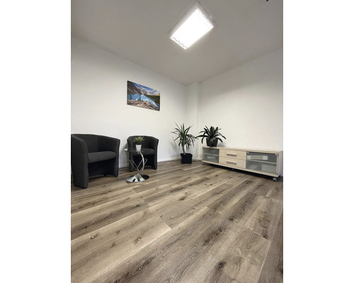 Čekárna s křesly, stolem, pokojovými rostlinami, obrazem a komodou na dřevěné podlaze