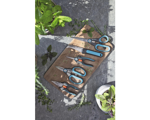 Několik zahradnických nůžek na dřevěném prkénku s bylinkami.