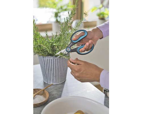 Osoba stříhá zahradními nůžkami bylinky v květináči.