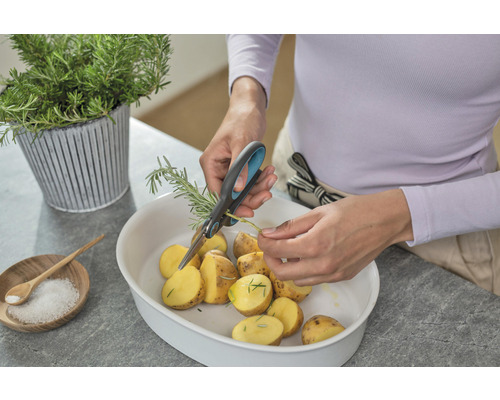 Žena stříhá rozmarýn zahradními nůžkami na brambory