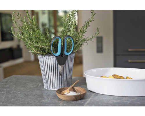 Květináč s bylinkami s nůžkami, mísa s bramborami a miska se solí na pracovní desce