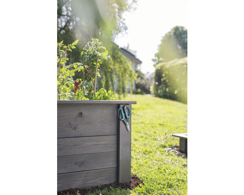 Dřevěný vyvýšený záhon s rajčaty a zahradnickými nůžkami