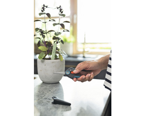 Ruka drží zahradnické nůžky vedle rostliny bazalky v květináči