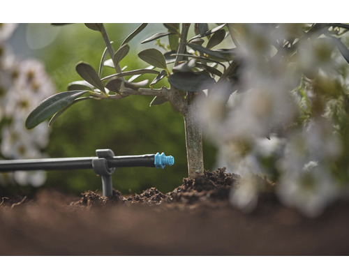 Systém kapkové závlahy na rostlině v zahradě