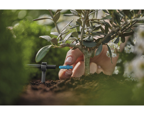 Detailní záběr instalace zavlažovacího systému na rostlinu v zahradě