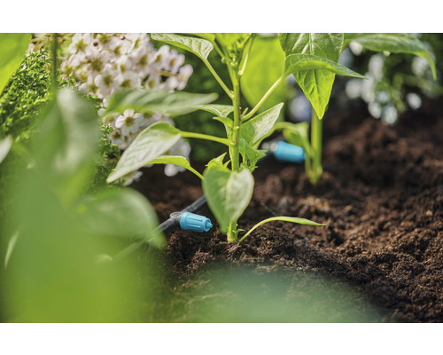 Zavlažovací systém v zahradě s rostlinami