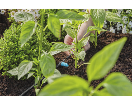 Instalace zavlažovacího systému pro rostliny v zahradním záhoně