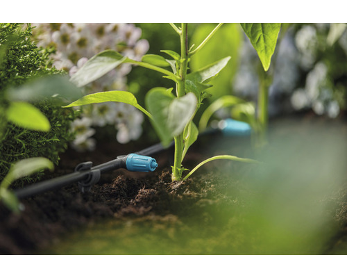 Kapkový zavlažovací systém v zahradě s rostlinami a květinami