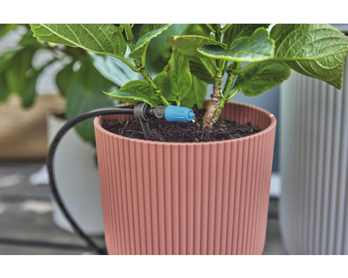 Detailní záběr hrnkové rostliny se zavlažovacím systémem pro pokojové rostliny