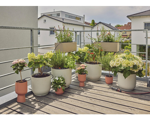 Balkonová scéna s různými rostlinami a květináči na dřevěné podlaze