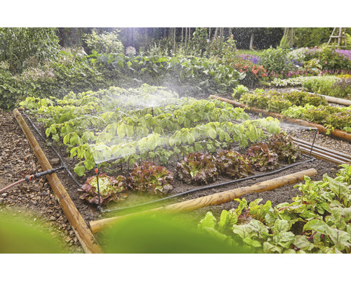 Zeleninová zahrada se zavlažovacím systémem pro rostliny