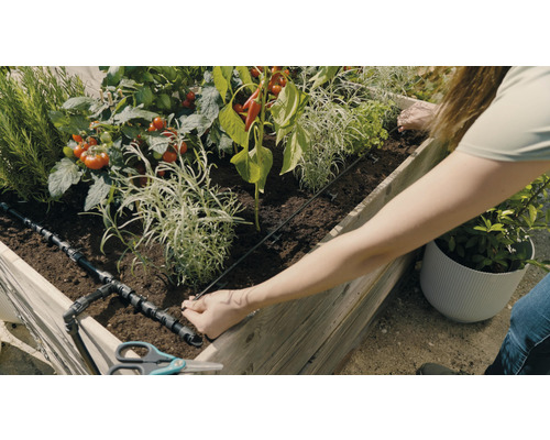 Vyvýšený záhon se zeleninou a zavlažovacím systémem