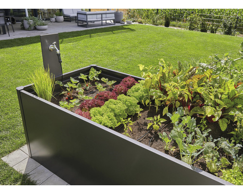 Zvýšený záhon s různou zeleninou a vodovodním kohoutkem na zahradě.