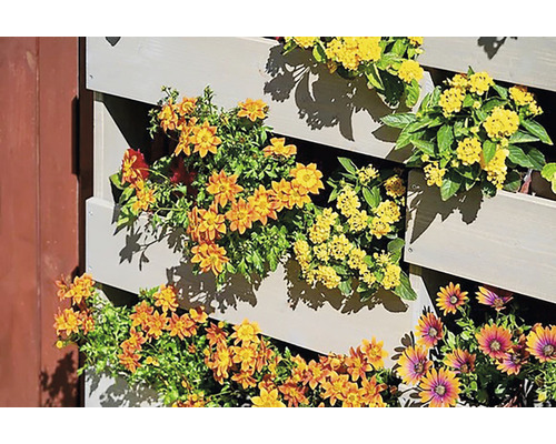 Vertikální zahrada s kvetoucími květinami v dřevěném regálu