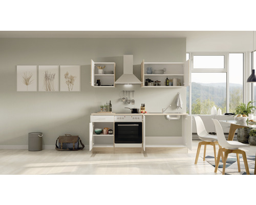 Kuchyňská linka s dřezem, varnou deskou, troubou, digestoří a závěsnými skříňkami ve světlém pokoji