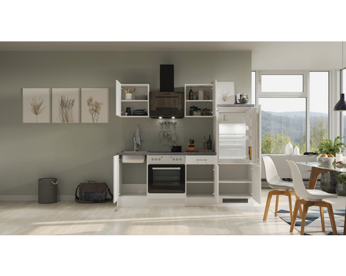 Kompletní kuchyňská linka s elektrospotřebiči, dřezem, skříňkami a digestoří