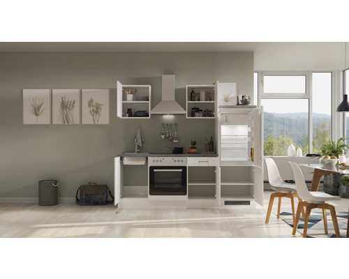 Moderní vestavná kuchyně s dřezem, varnou deskou, troubou, digestoří a lednicí