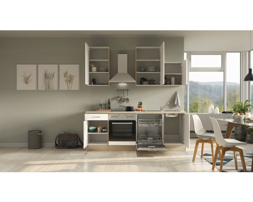 Kompletní kuchyně s myčkou nádobí, sporákem, digestoří a závěsnými skříňkami ve světlém pokoji.