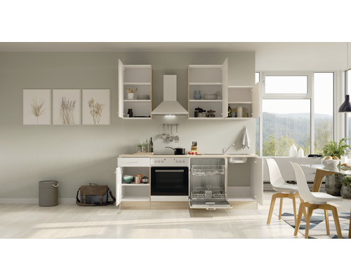 Kuchyňská linka se závěsnými skříňkami, dřezem, myčkou nádobí a troubou ve světlém pokoji