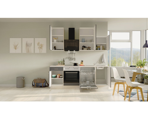 Moderní kuchyně s myčkou, sporákem, digestoří a závěsnými skříňkami.