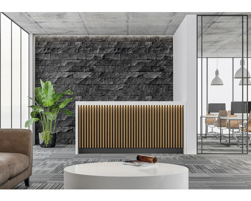 Kancelářská recepce s recepcí, kamennou zdí a pokojovou rostlinou