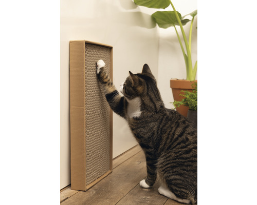 Kočka škrábe kartonový škrabadlo na zdi
