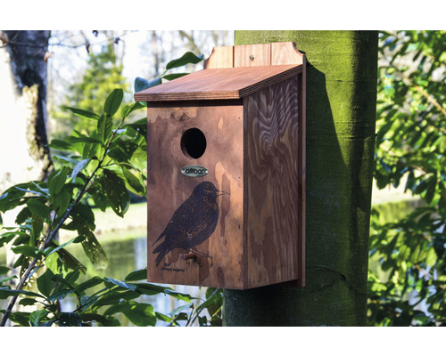 Dřevěná ptačí budka s obrázkem ptáka na stromě