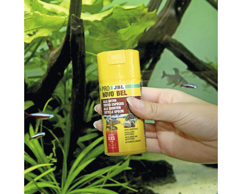 Osoba drží dózu JBL Pro Novo Bel krmiva pro ryby před akváriem