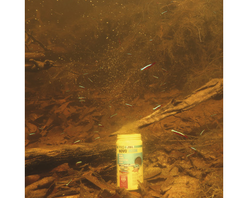 Krmivo pro ryby JBL Novo Neon v akváriu