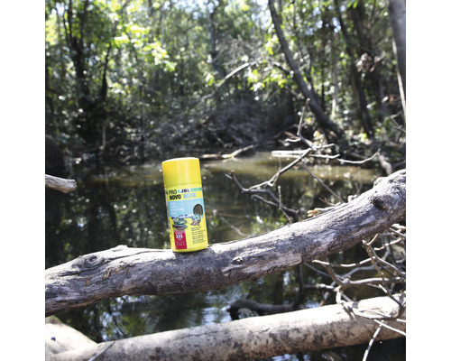 Krmné tablety JBL Novo Pleco na kmeni stromu