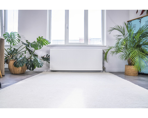 Světlá místnost s pokojovými rostlinami, radiátorem a kobercem