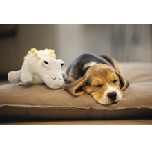 Spící štěně Beagle s plyšovou hračkou na psím polštáři