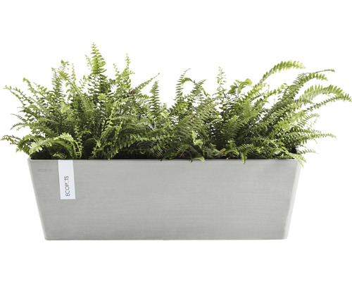 Obdélníkový květináč s kapradinou