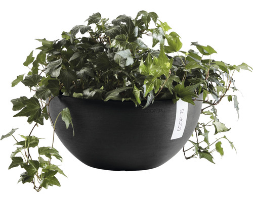 Květináč Ecopots s břečťanem