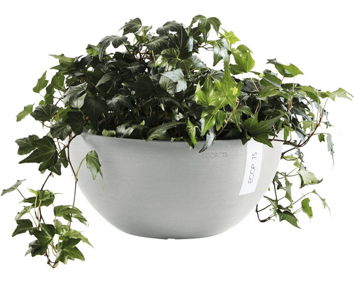 Závěsný květináč Ecopots s břečťanem