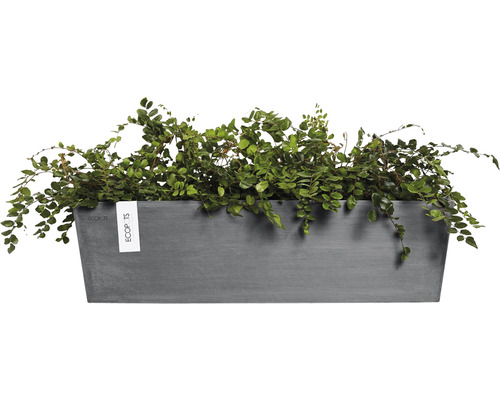 Obdélníkový plastový květináč se zelenými rostlinami
