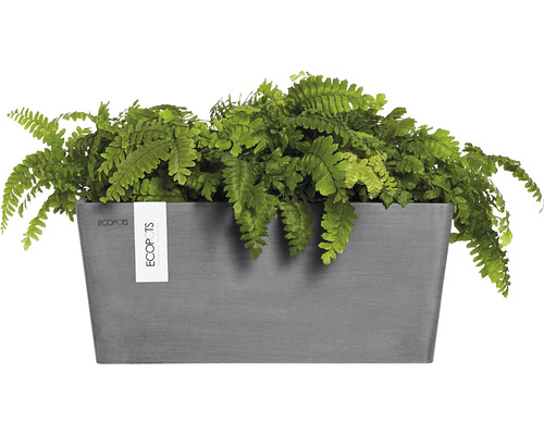 Obdélníkový květináč s kapradinou