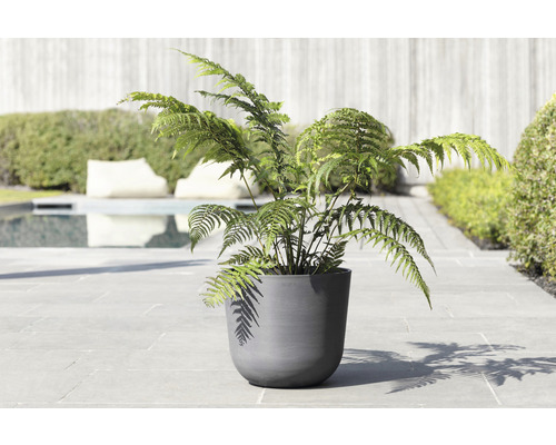 Hrnková rostlina s kapradinou pro venkovní použití