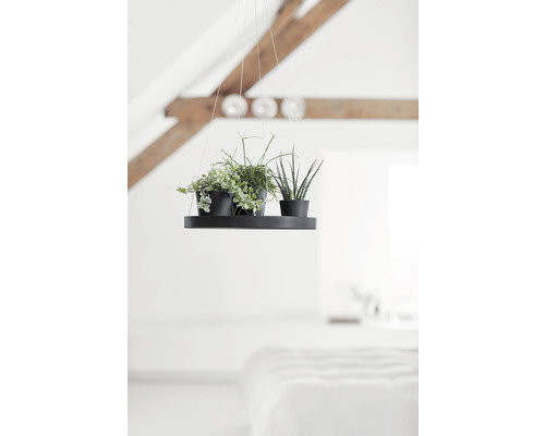 Závěsný květináč se dvěma rostlinami v květináčích