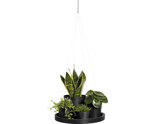 Závěsný květináč s různými pokojovými rostlinami v květináčích