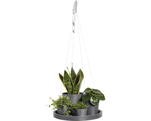 Závěsný květináč se čtyřmi rostlinami v květináčích na kulaté podložce
